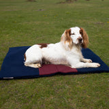 Siccaro FlexDog Drying Mats / Special Drying Mats