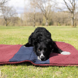 Siccaro FlexDog Drying Mats / Special Drying Mats