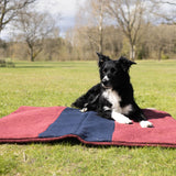 Siccaro FlexDog Drying Mats / Special Drying Mats