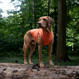 Siccaro Pro-tect Advanced - L Warming coats