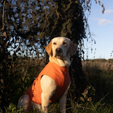 Siccaro Pro-tect Advanced - L Warming coats