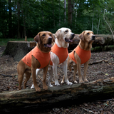 Siccaro Pro-tect Advanced - L Warming coats