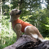 Siccaro Pro-tect Pro - Large dogs Warming coats