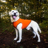 Siccaro Pro-tect Pro - Large dogs Warming coats