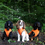 Siccaro Pro-tect Pro - Medium dogs Warming coats