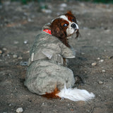 Siccaro Smart / 30 Drying Coats