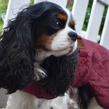 Siccaro Smart / 30 Drying Coats