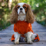 Siccaro Smart / 35 Drying Coats