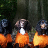 Siccaro Smart / 40 Drying Coats