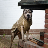 Siccaro Smart / 45 Drying Coats
