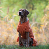 Siccaro Smart / 50 Drying Coats