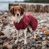 Siccaro Smart / 55 Drying Coats