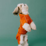 Siccaro Supreme 3.0 / 30 Drying Coats