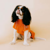 Siccaro Supreme 3.0 / 35 Drying Coats