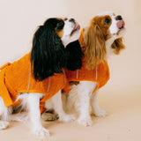 Siccaro Supreme 3.0 / 35 Drying Coats