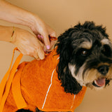 Siccaro Supreme 3.0 / 40 Drying Coats