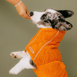 Siccaro Supreme 3.0 / 45 Drying Coats