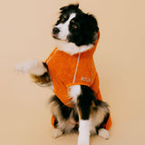 Siccaro Supreme 3.0 / 50 Drying Coats