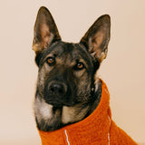 Siccaro Supreme 3.0 / 60 Drying Coats