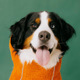 Siccaro Supreme 3.0 / 70 Drying Coats