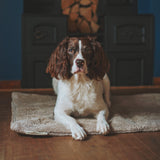 Siccaro FlexDog Drying Mats / 70x110 Drying Mats