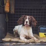 Siccaro FlexDog Drying Mats / Mini Drying Mats