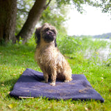 Siccaro FlexDog Drying Mats / Mini Drying Mats