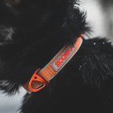 Siccaro Sealines dog collars / 100% recycled nylon Leashes and collars