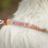 Siccaro Sealines dog collars / 100% recycled nylon Leashes and collars