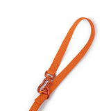 Siccaro Sealines dog leashes / 100% recycled nylon Leashes and collars