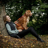 Siccaro Sealines dog leashes / 100% recycled nylon Leashes and collars