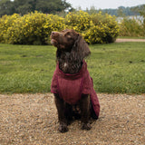 Siccaro Smart / 35 Drying Coats