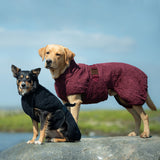 Siccaro Smart / 60 Drying Coats