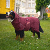 Siccaro Solution / 70 Drying Coats