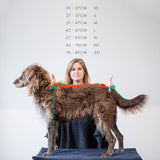 Siccaro Spirit Drying Coat - Outlet / M Drying Coats