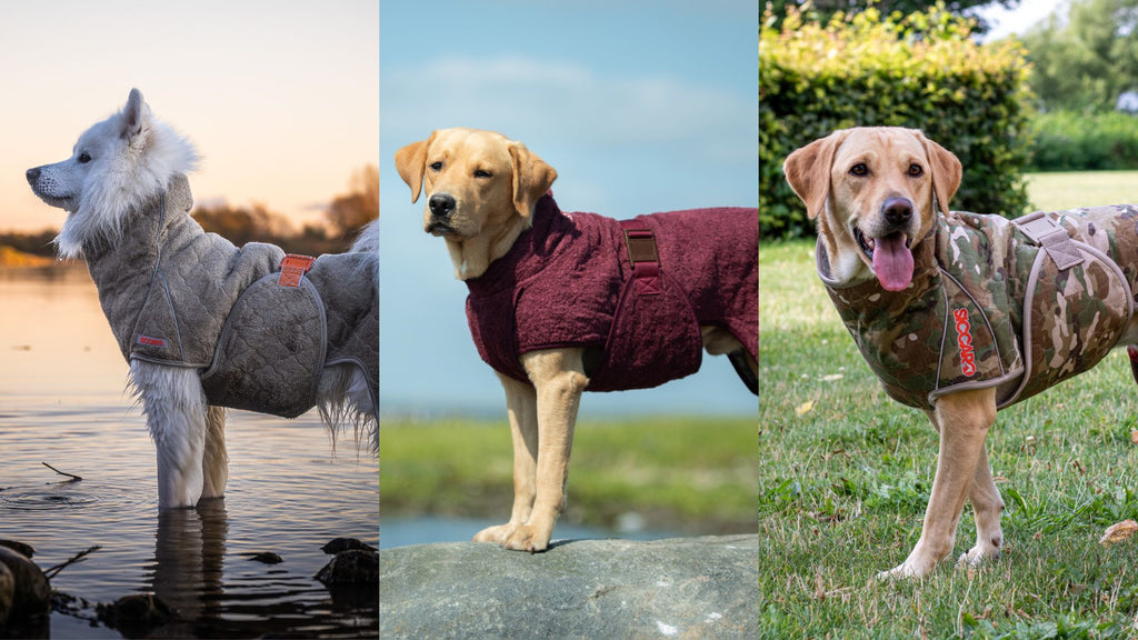 Dog drying coats hot sale with legs