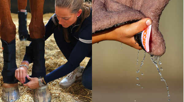 The art behind cooling and warming the horse’s legs – and when to do what!