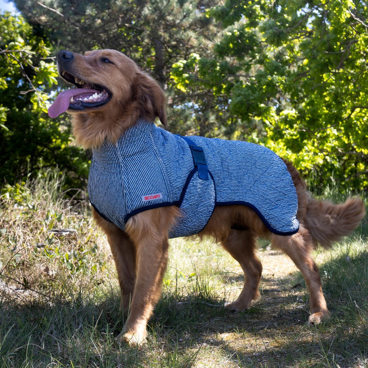 Dog Drying Rug Drying Coats For Dogs | The Full Collection | Siccaro