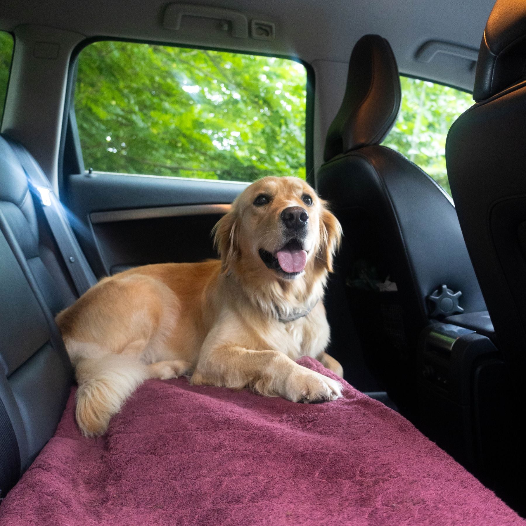 FlexDog Drying Mats / Narrow edt.