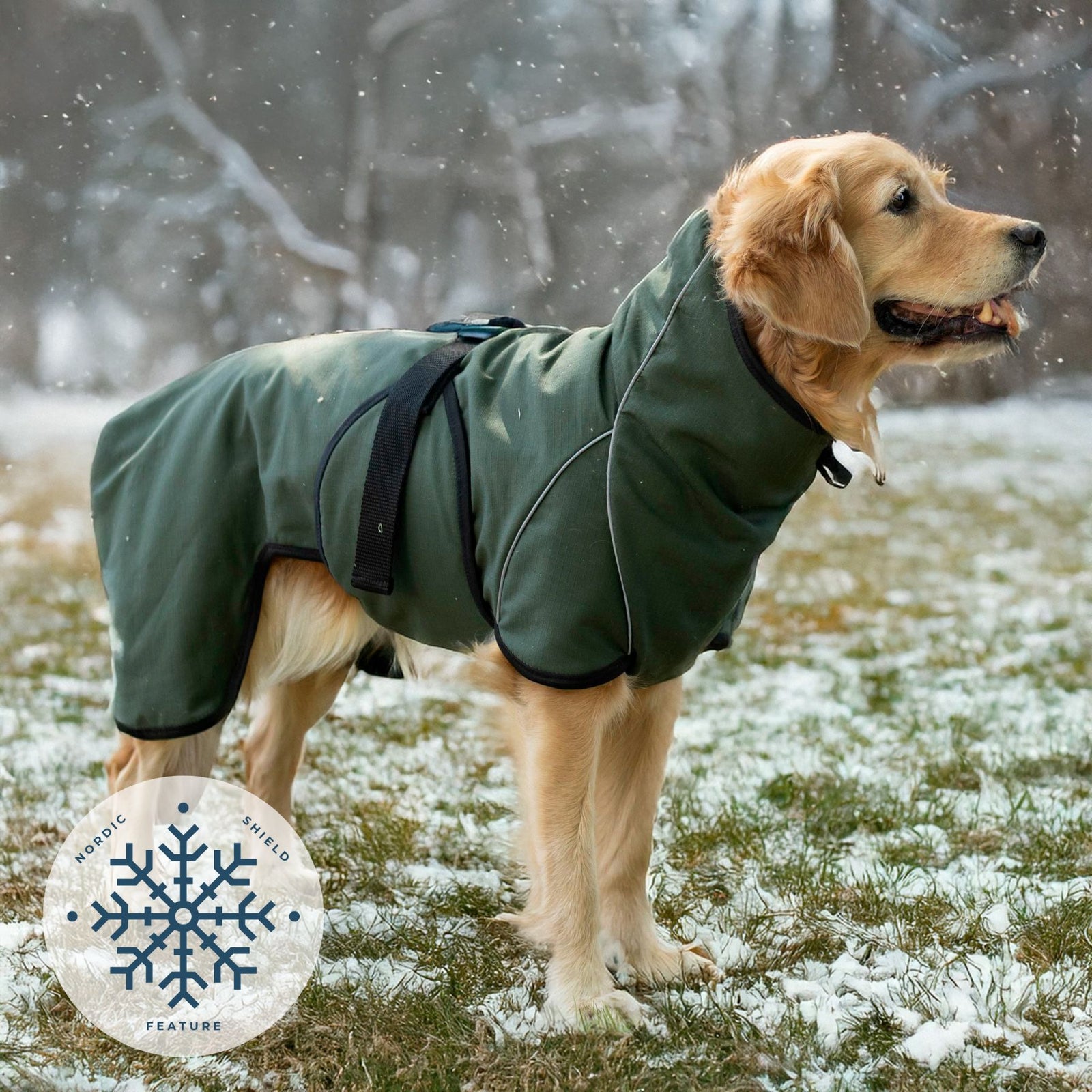 RainForce_60-Rain_coats-S2081-