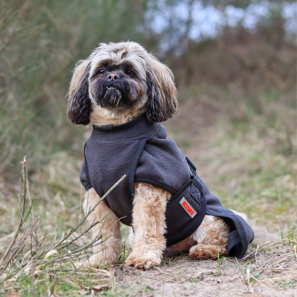 Warming Coats and Hunting Vests for Dogs Siccaro