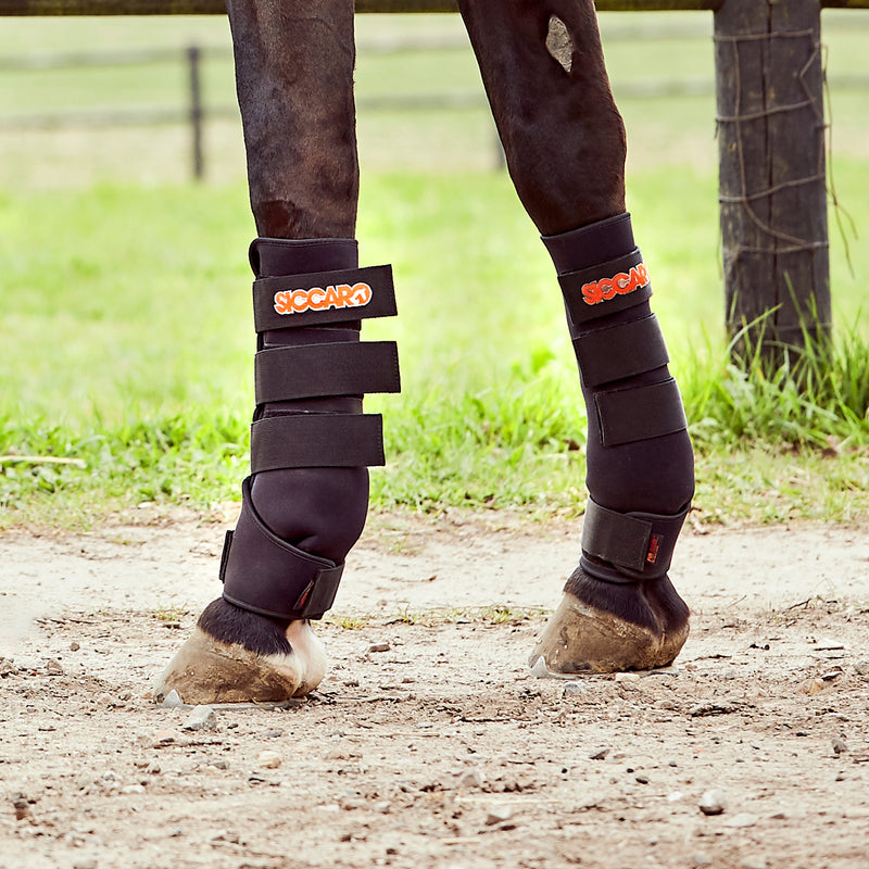 Siccaro Sahara Multifunctional Drying Boots Horse products