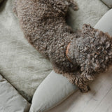 Siccaro Siccaro X FossFlakes Dog Bed Dog bed