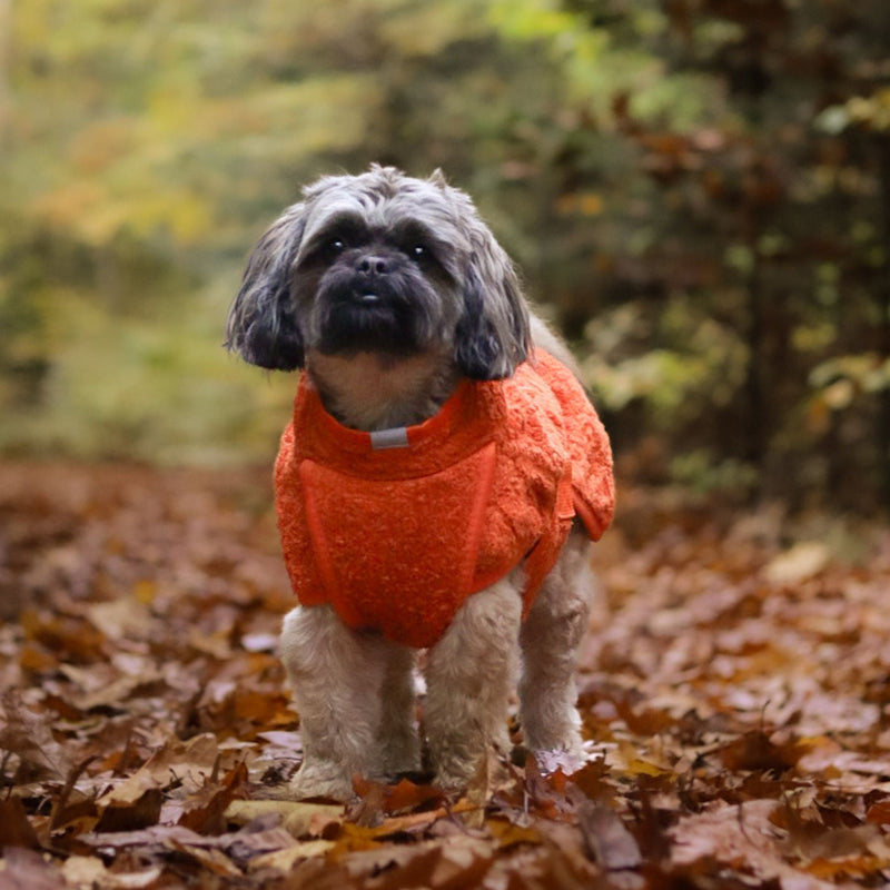 Siccaro Smart / 30 Drying Coats