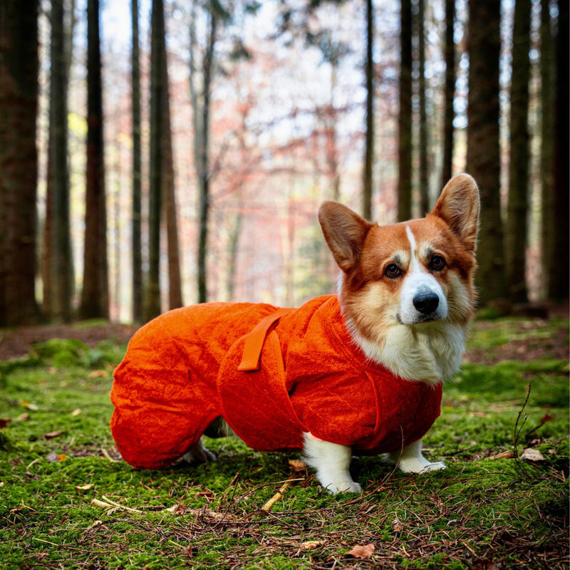 Siccaro Smart / 45 Drying Coats