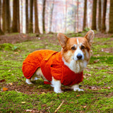 Siccaro Smart / 45 Drying Coats