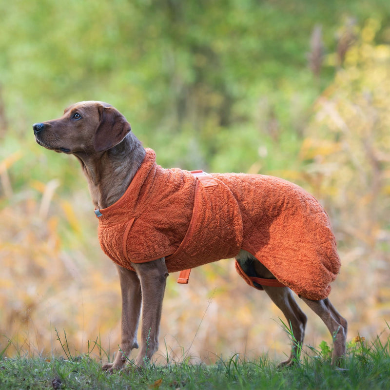 Siccaro Smart / 50 Drying Coats