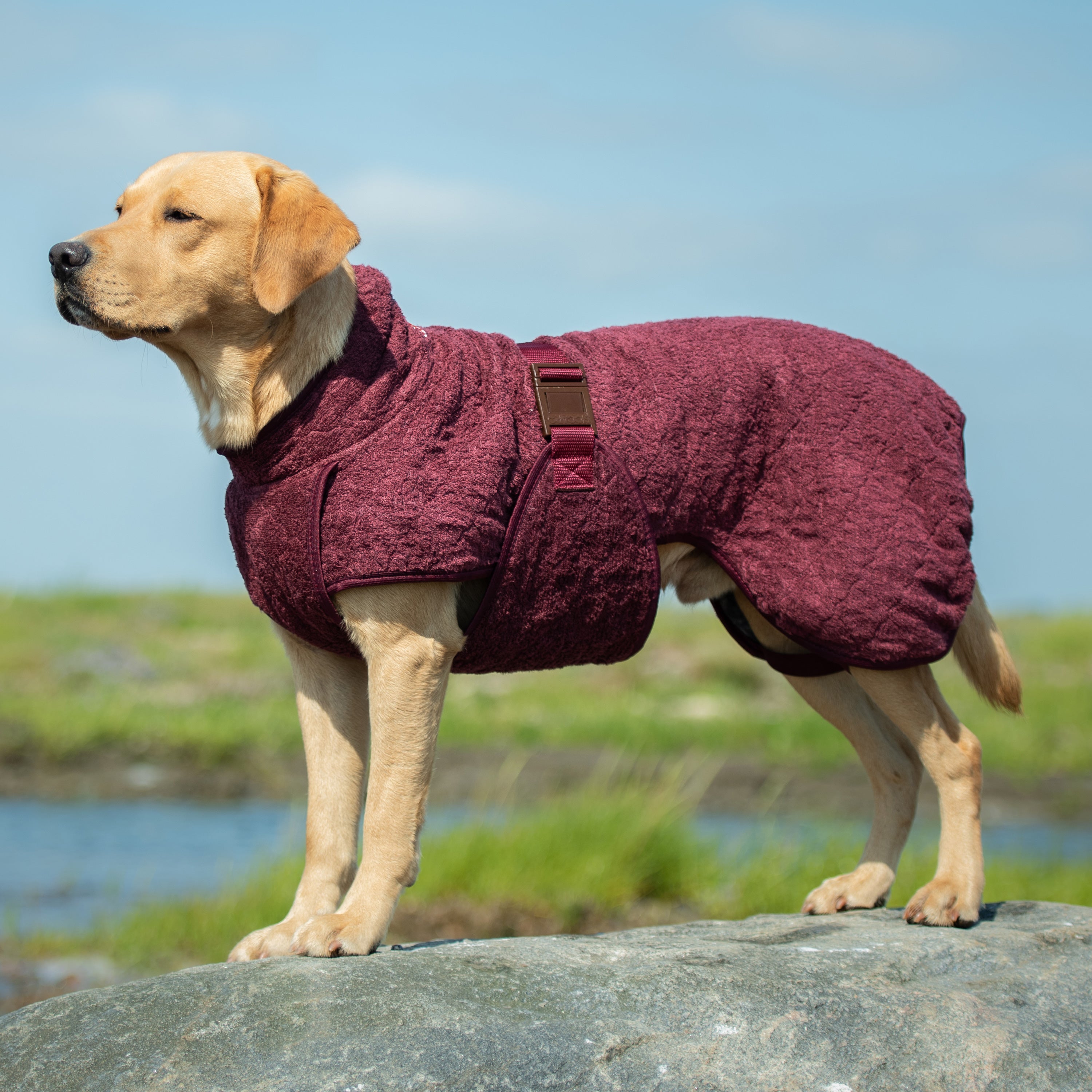 Dog Drying Rug Drying Coats For Dogs | The Full Collection | Siccaro