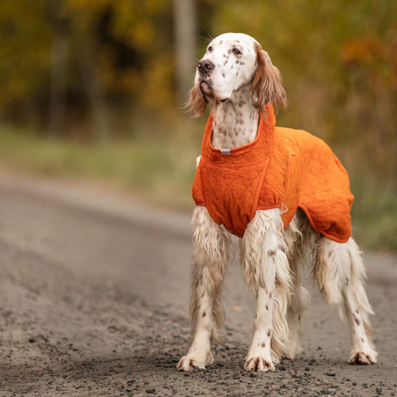 Siccaro Smart / 55 Drying Coats