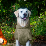 Siccaro Smart / 60 Drying Coats